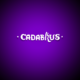 Cadabrus Kasyno